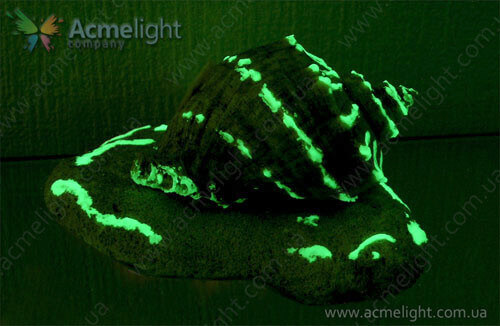 originalnye suveniry dlya kurortnogo goroda 1