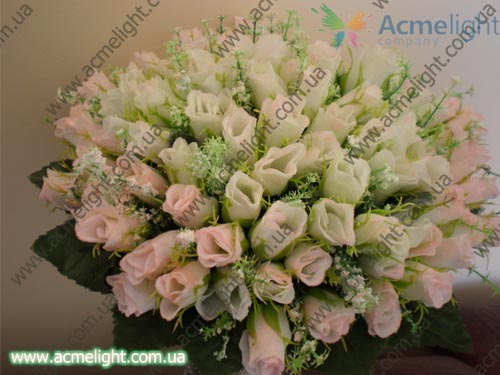 svetyaschiesya tsvetyi 1